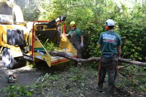 tree services Scottsboro